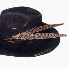 Feathers (Plumas)